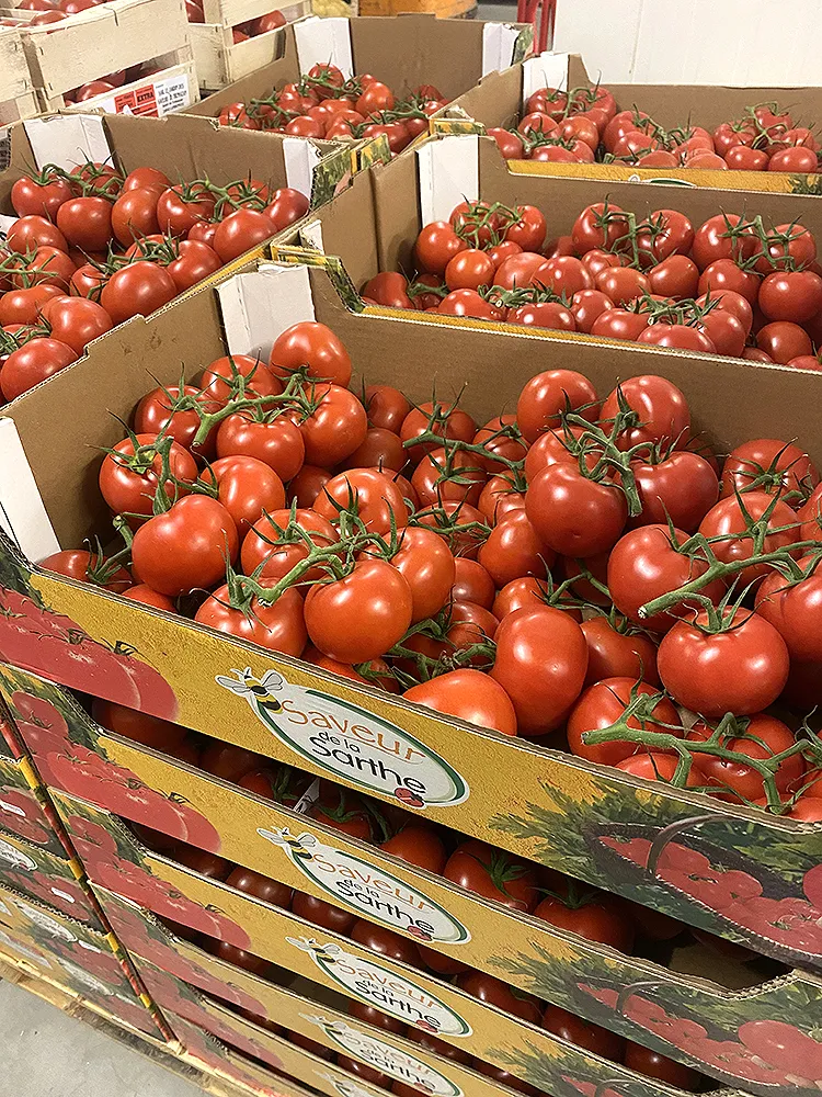 Photo de Tomates chez SM Primeurs à Sourdeval dans la Manche