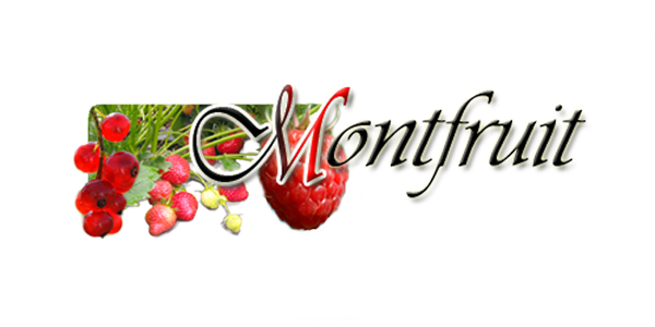 Logo de la marque Montfruit