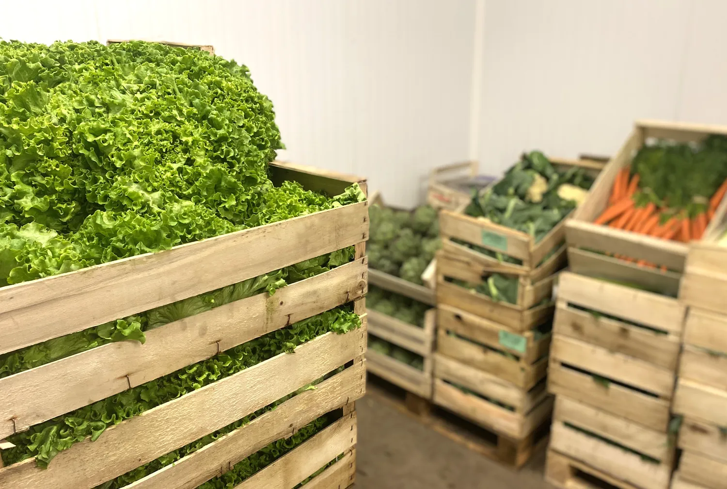 Photo de Salades/Carottes chez SM Primeurs à Sourdeval dans la Manche