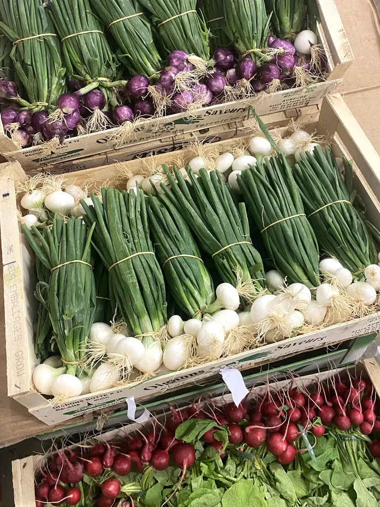 Photo d'Oignons chez SM Primeurs à Sourdeval dans la Manche